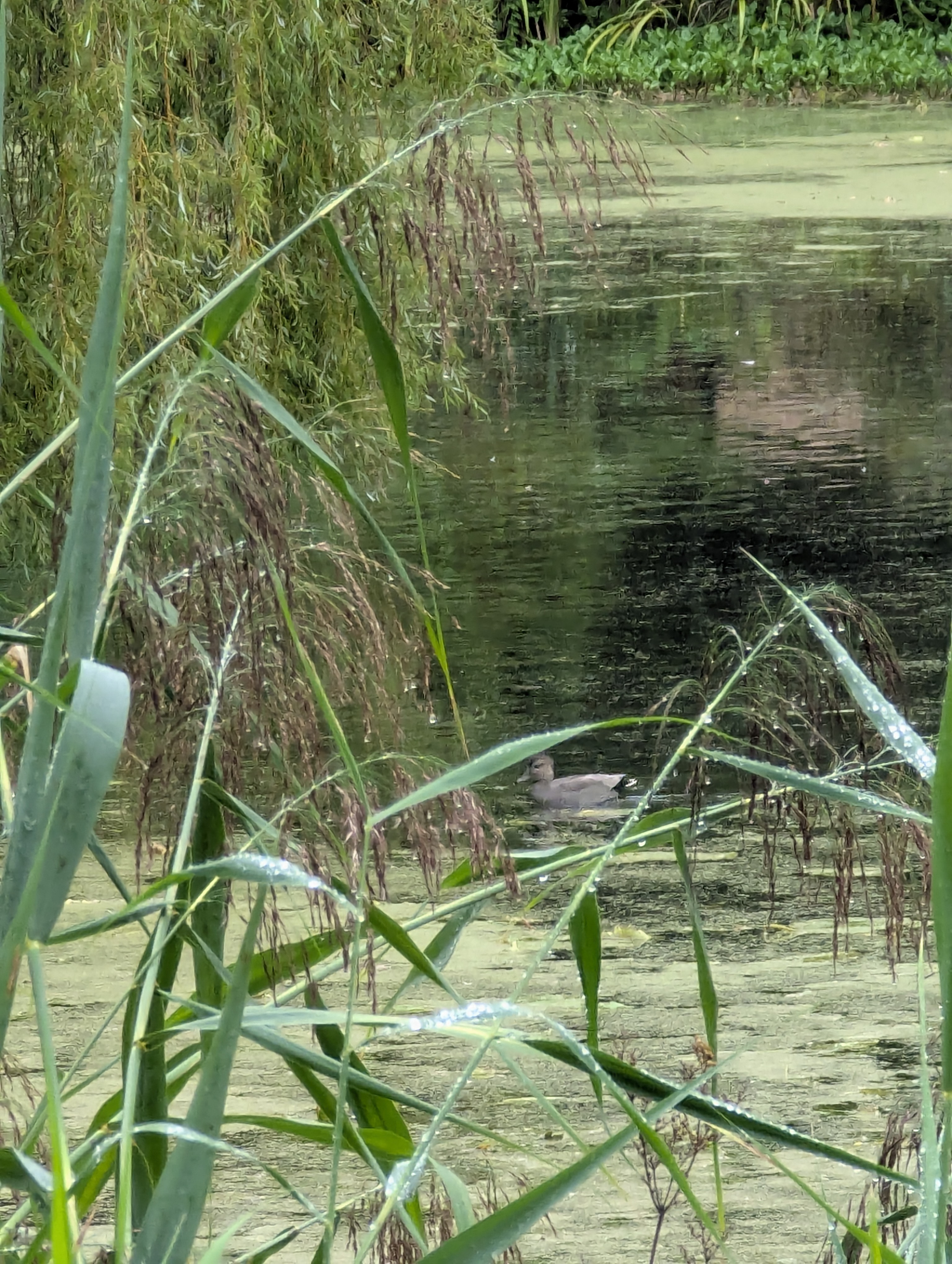 Botonic Gardens, Muenster, Germany
